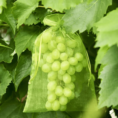 20pcs Garden Mesh Bags for Pest & Bird Protection