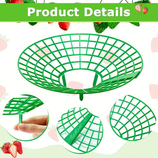 Strawberry Plant Supports Stand with 3 Legs