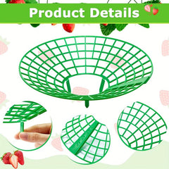Strawberry Plant Supports Stand with 3 Legs