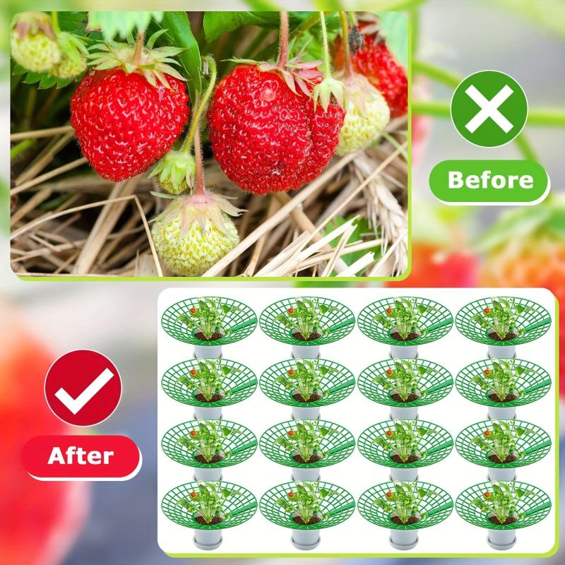 Strawberry Plant Supports Stand with 3 Legs