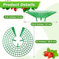 Strawberry Plant Supports Stand with 3 Legs