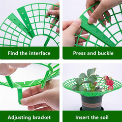 Strawberry Plant Supports Stand with 3 Legs