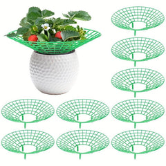 Strawberry Plant Supports Stand with 3 Legs