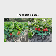 Adjustable Plant Climbing Rack for Strawberries