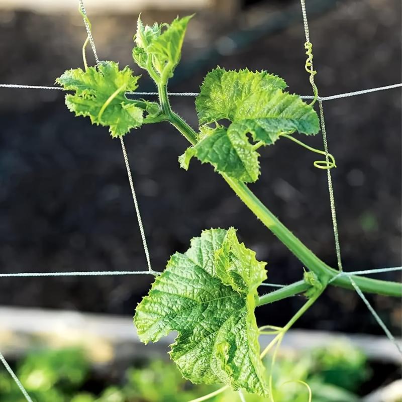 Heavy Duty Trellis Netting Mesh for Climbing Plants