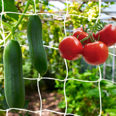 Heavy Duty Trellis Netting Mesh for Climbing Plants