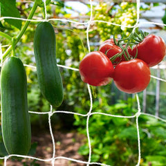 Heavy Duty Trellis Netting Mesh for Climbing Plants