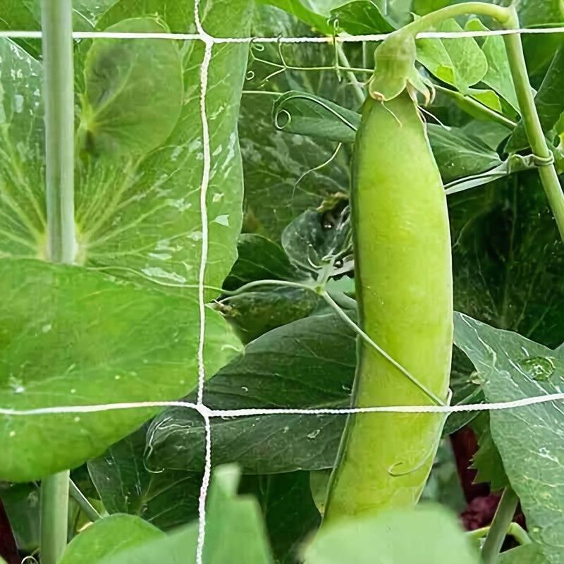 DIY Plant Support Net 5ft x 15ft - Ideal for Growing Gardens
