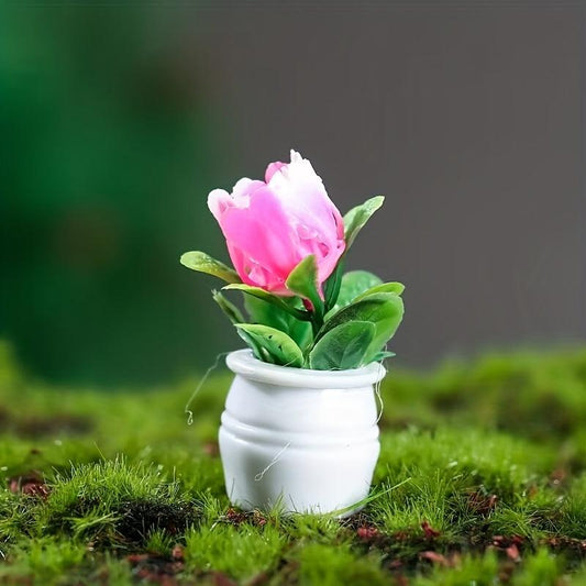 5pcs Mini Succulent Plant Toy Fairy Garden Decor