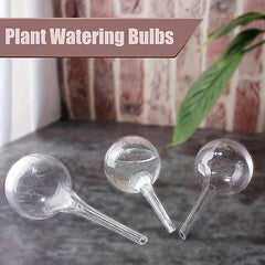 6pcs Round Automatic Watering Device for Potted Plants