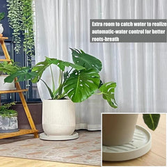 Plant Caddy Hidden Wheels Movable Plant Stand Pot Saucer