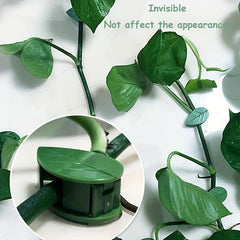 Invisible Plant Climbing Wall Fixture Rattan Vine Bracket Fixed Buckle