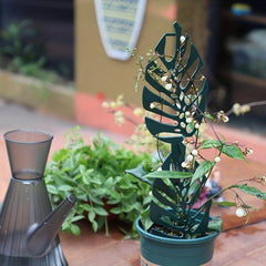 2pcs Plant Vine Holder Cactus Bracket Stackable Combination