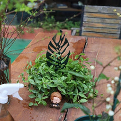 2pcs Plant Vine Holder Cactus Bracket Stackable Combination