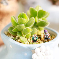 Mini Gnome Garden Set 7pcs Resin Fairy Garden Accessories