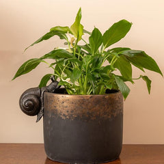 Handcrafted Snail Figure Plant Pot Hanger for Garden Decor