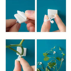 10pcs Garden Wall Plants Climber Vine Sticky Wall Clips