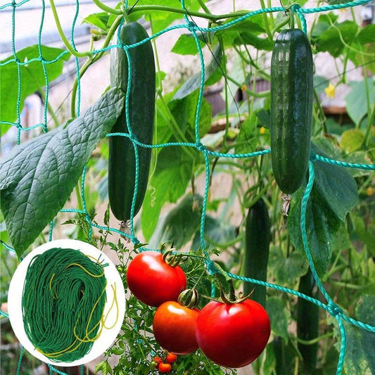 Plant Climbing Net 179 89 Trellis Netting For Climbing Plants