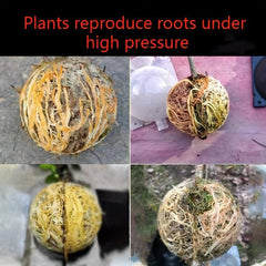10pcs Root Growing Box Tree Rooter Air Layering Assisted Cutting Rooting Propaga