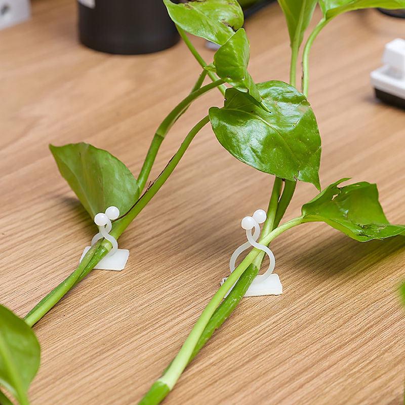 30pcs Self Adhesive Plant Climbing Wall Fasteners Hooks for Garden