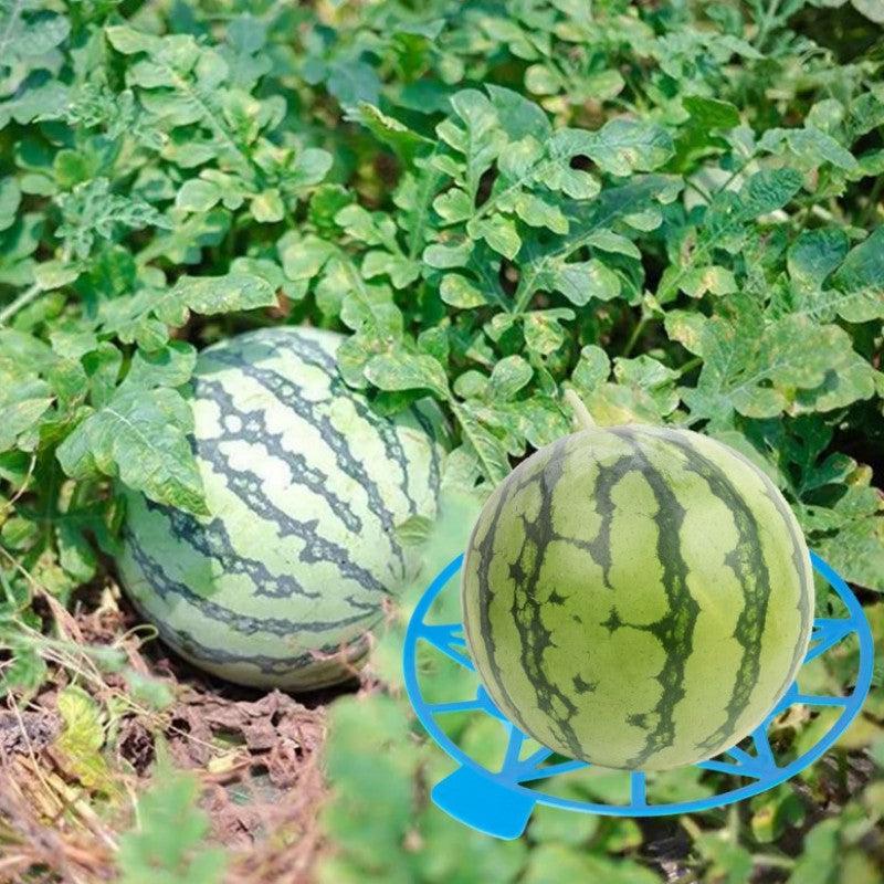 Reusable Plant Supports for Healthy Melon Growth
