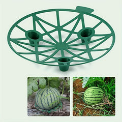 Reusable Plant Supports for Healthy Melon Growth