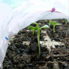 Reusable Frost Cover for Garden Protection: Keep Birds & Insects Out