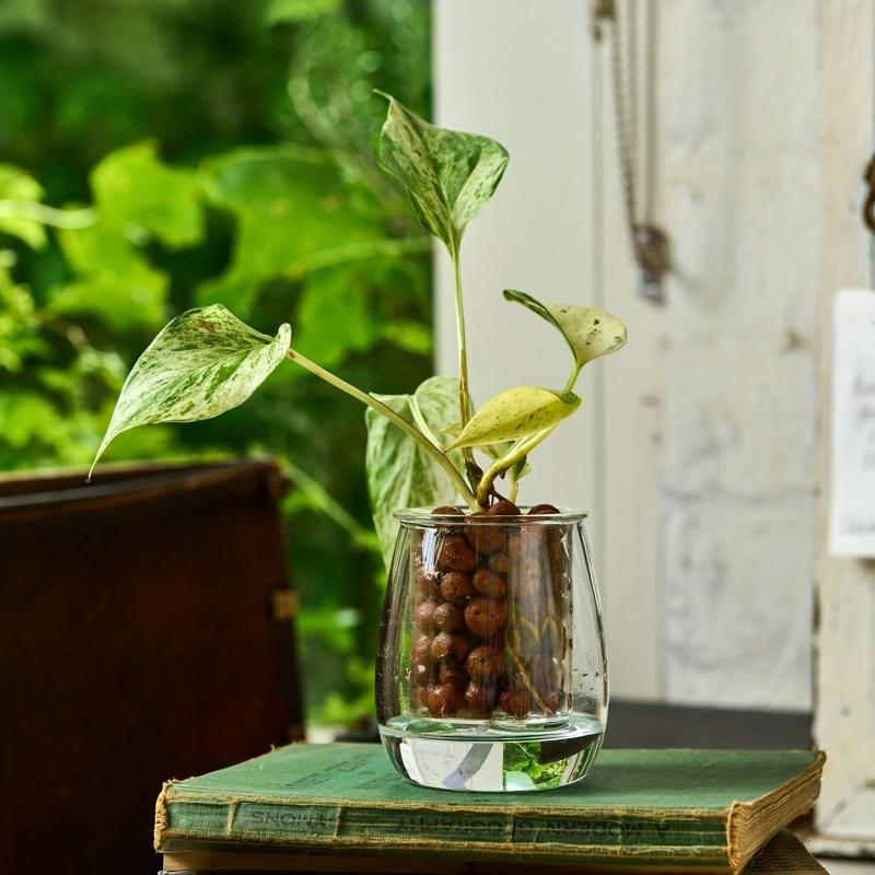 Natural Clay Pebbles Plant Grow Media Hydroponics Orchids Aquaponics