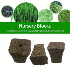 Organic Grow Sponge Seed Starter Plug Pods Replacement Root Growth Sponges