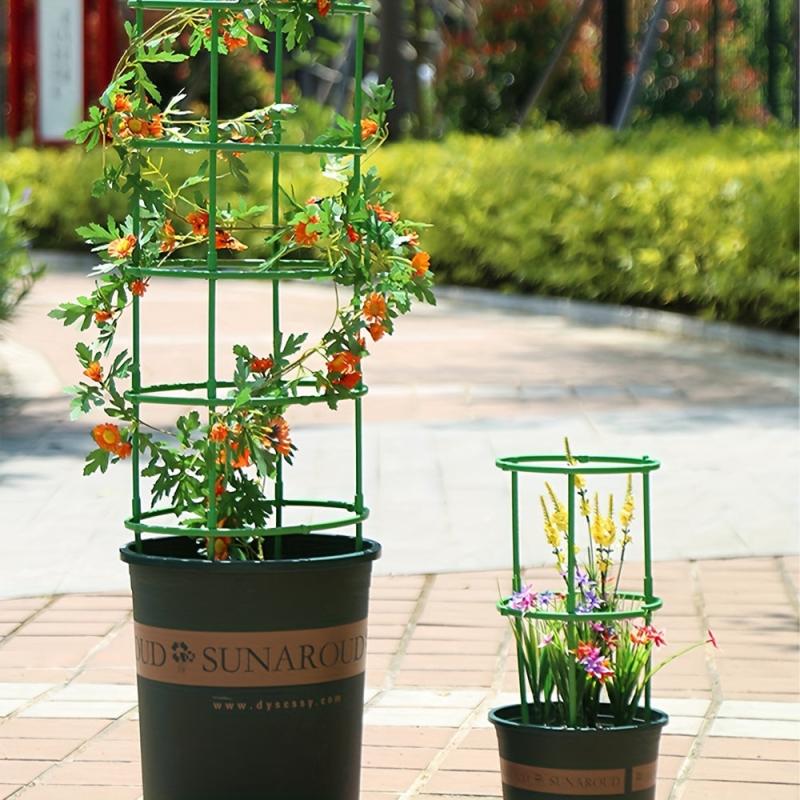 Plant Support Stakes & Half Round Rings for Easy Plant Growth