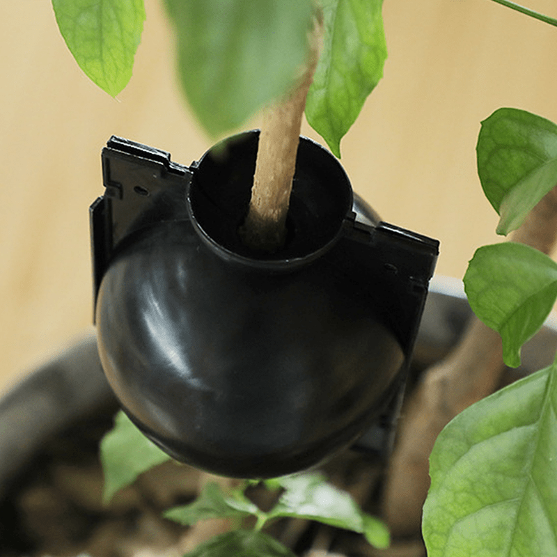 10pcs Reusable Plant Root Growing Box Cutting Grafting Rooting Box