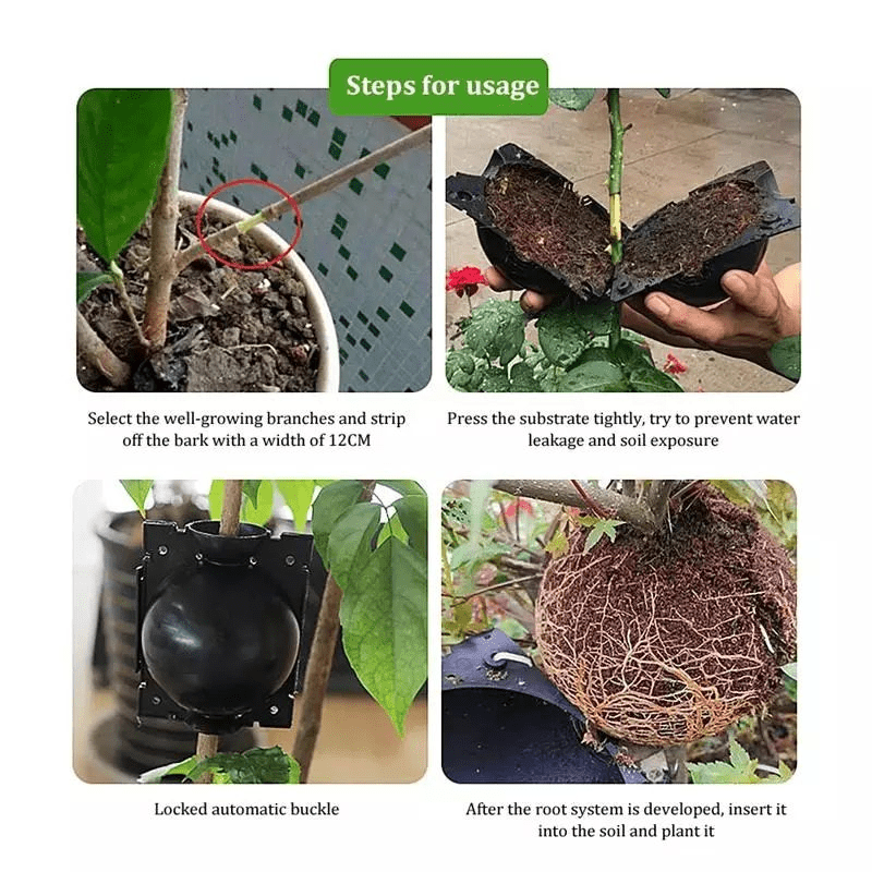 10pcs Reusable Plant Root Growing Box Cutting Grafting Rooting Box