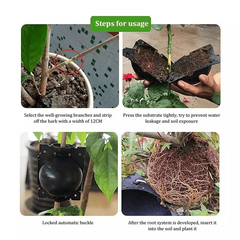 10pcs Reusable Plant Root Growing Box Cutting Grafting Rooting Box