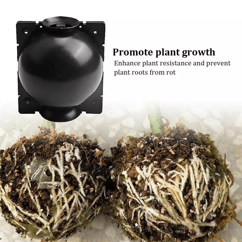 10pcs Reusable Plant Root Growing Box Cutting Grafting Rooting Box