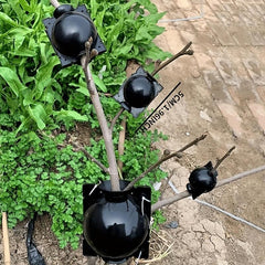 10pcs Reusable Plant Root Growing Box Cutting Grafting Rooting Box