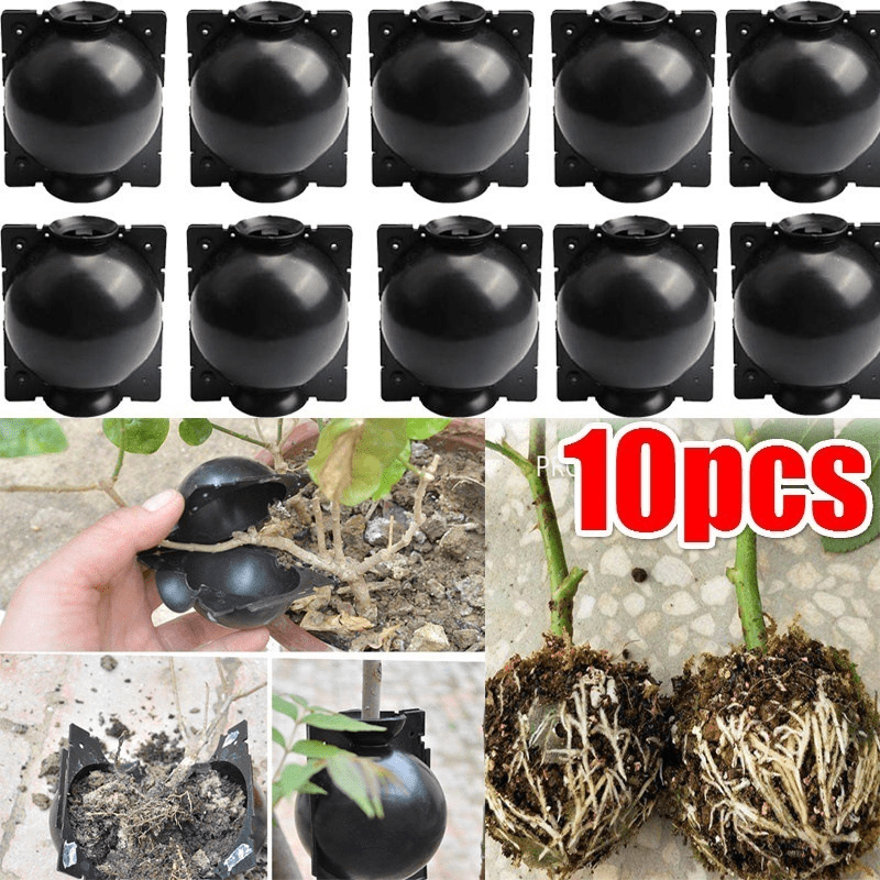 10pcs Reusable Plant Root Growing Box Cutting Grafting Rooting Box