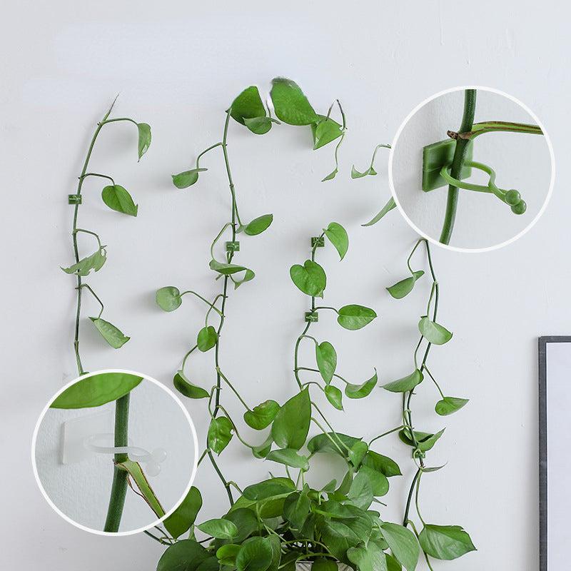 20pcs Large Plant Climbing Wall Self-adhesive Fastener Rattan Hook