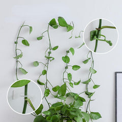 20pcs Large Plant Climbing Wall Self-adhesive Fastener Rattan Hook
