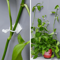 20pcs Large Plant Climbing Wall Self-adhesive Fastener Rattan Hook