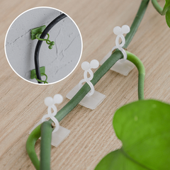 20pcs Large Plant Climbing Wall Self-adhesive Fastener Rattan Hook