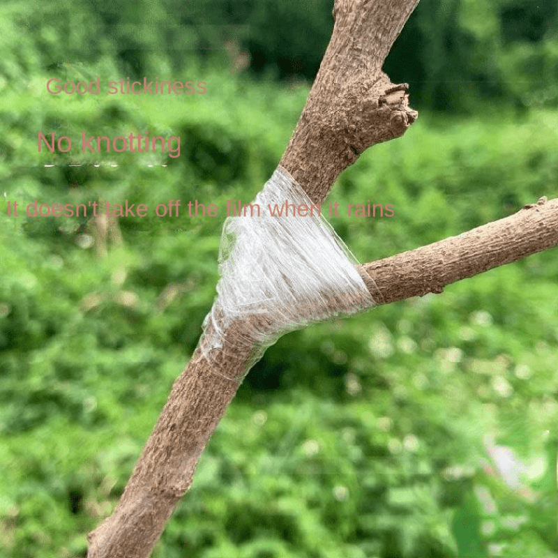 200M Grafting Film Glutinous Rice Paper for Fruit Tree Seedling