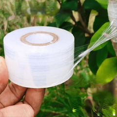 200M Grafting Film Glutinous Rice Paper for Fruit Tree Seedling