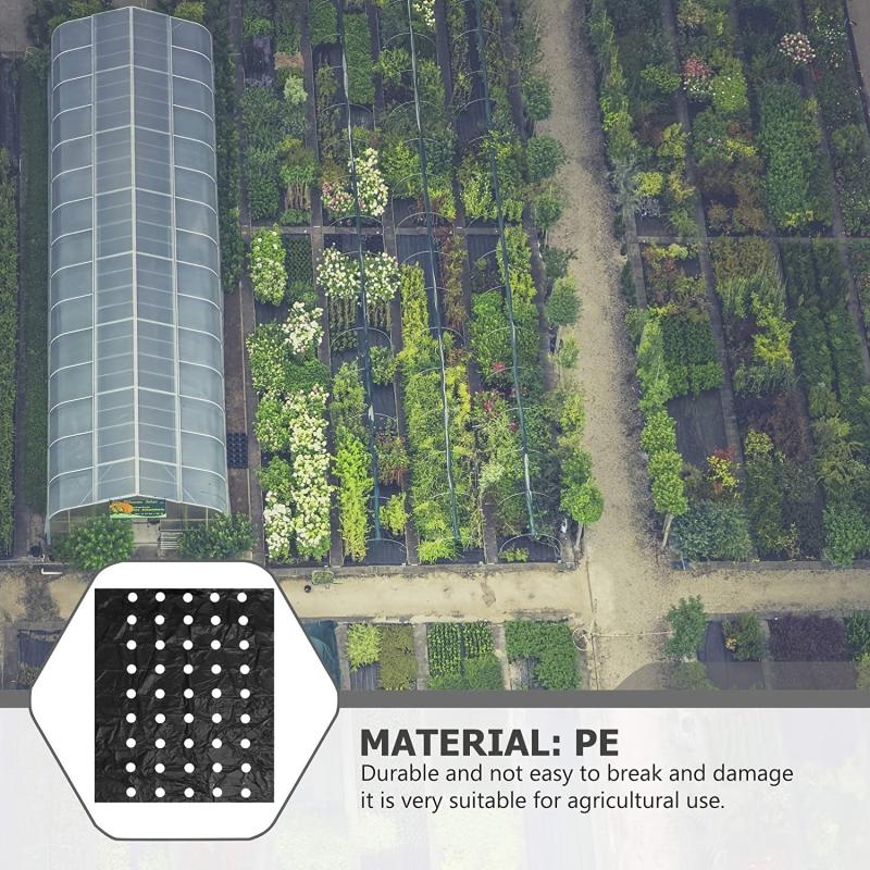 High Plastic Mulch Film for Greenhouses - Grow Your Vegetables with Ease