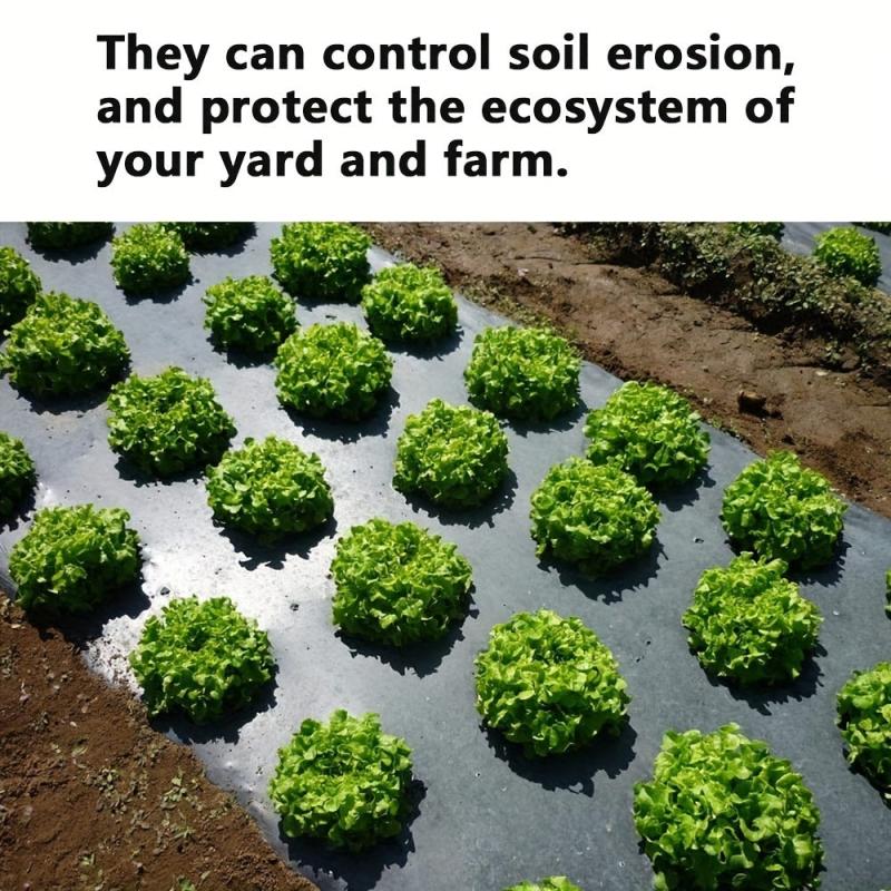 High Plastic Mulch Film for Greenhouses - Grow Your Vegetables with Ease