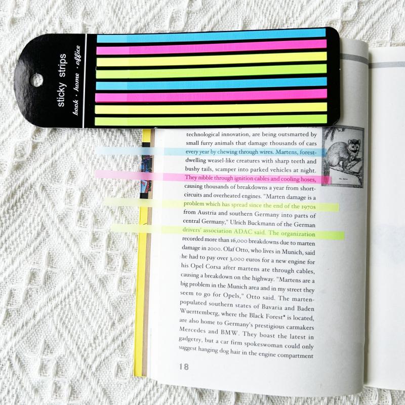 Colorful Thin Long Strip Index Stickers Translucent Sticky Notes