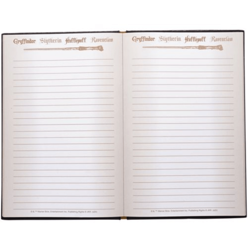 Hermione Granger Journal 100 Pages With Wand Pen For Muggles, Witches & Wizards
