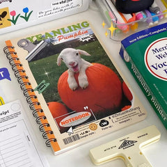 American Niche Coil Notebook Horizontal Line Notepad