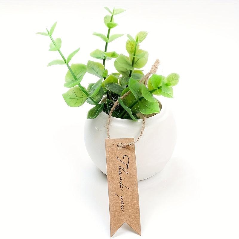 Blank Tag 10 Packs for Easy Labeling and Organization