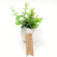Blank Tag 10 Packs for Easy Labeling and Organization