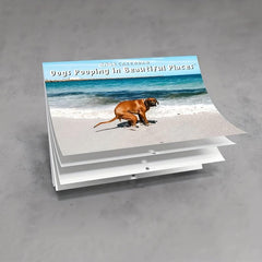 1pc Dog Poop Calendar Funny 2022 Wall Calendar